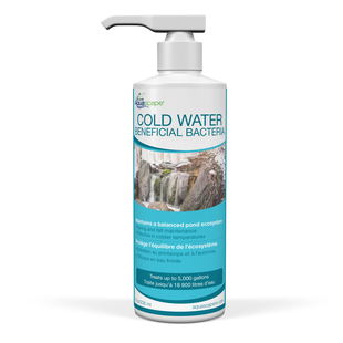 Aquascape Cold Water Beneficial Bacteria (Liquid) - 16 oz